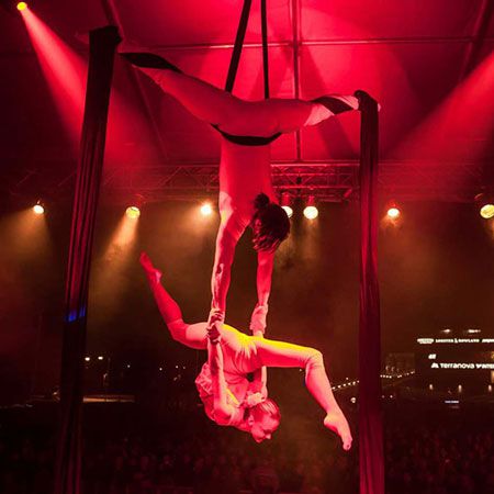 Aerial Silk Duo Show