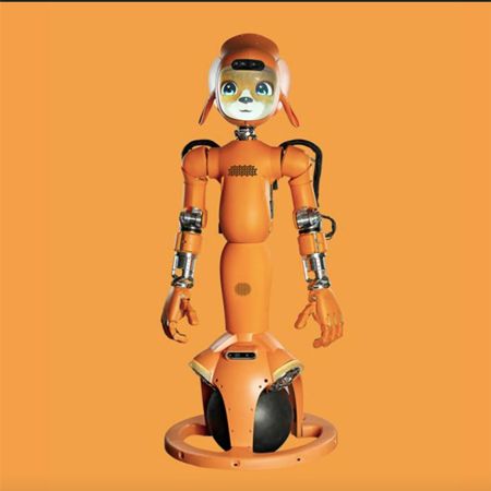 AI Humanoid Robot