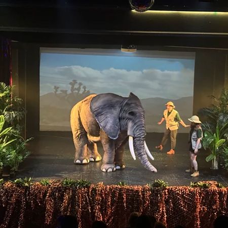 Interactive Wildlife Adventure