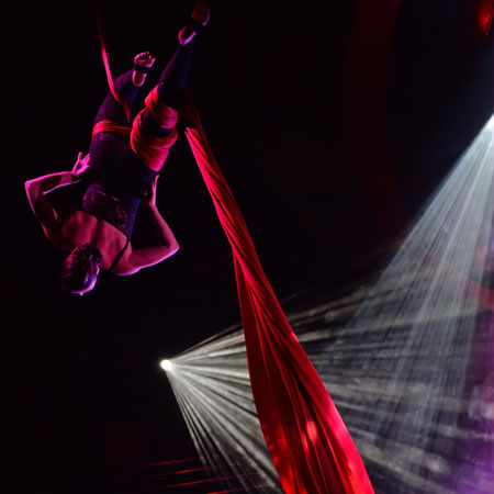 Female Solo Aerial Silk Artist