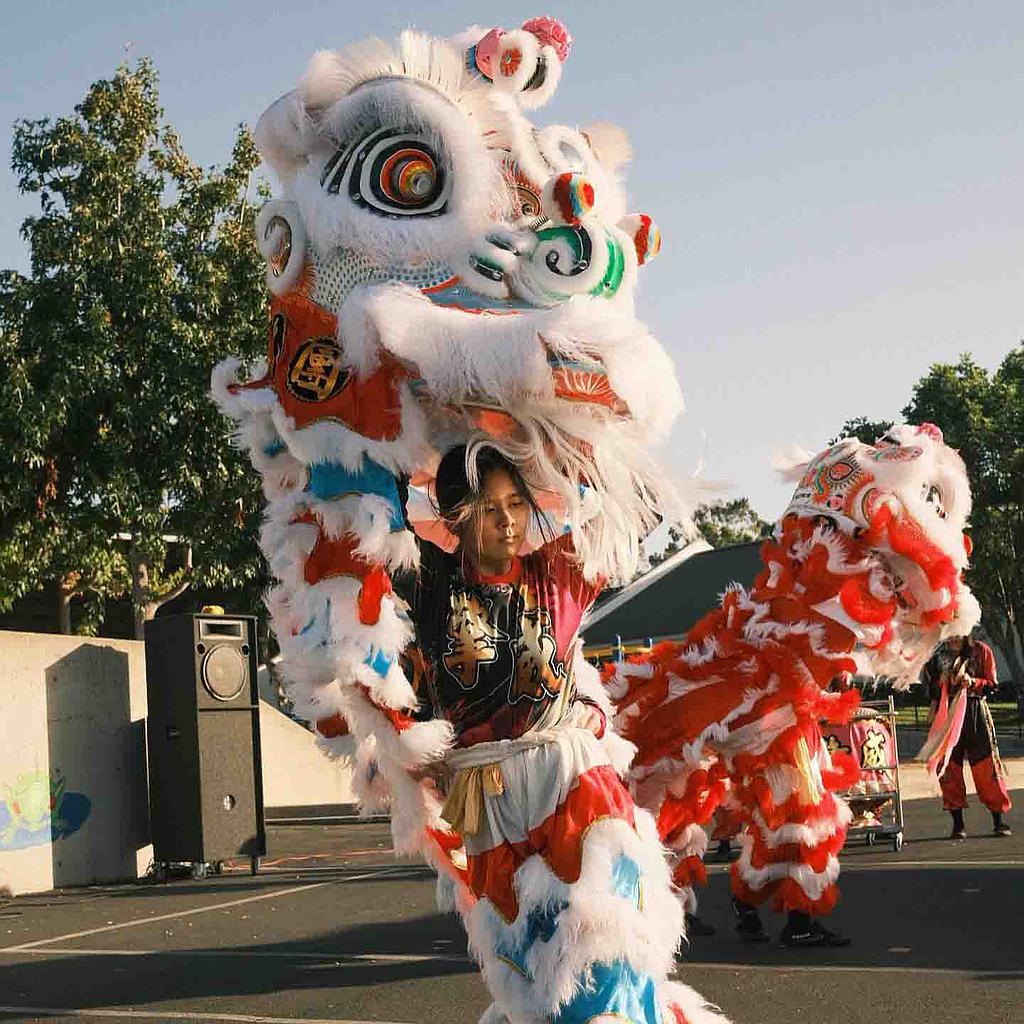 Apprends la danse du lion et du dragon en Chine