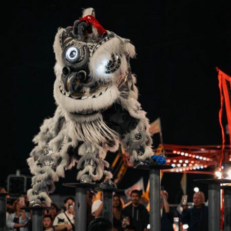 Dragon and Lion Dance Sydney