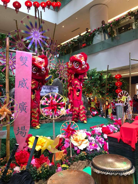 Malaysian Lion Dancers - Book Chinese Entertainment | Asia