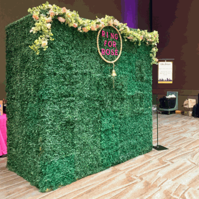 Champagne Hedge Wall