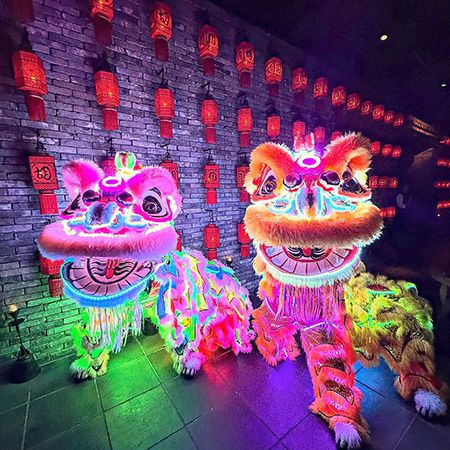 Lion Dance Hong Kong