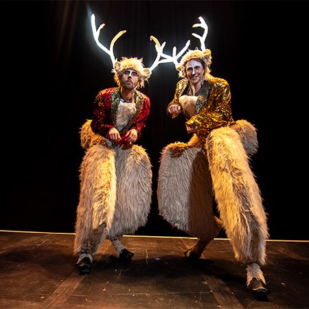 Festive Bouncing Reindeer