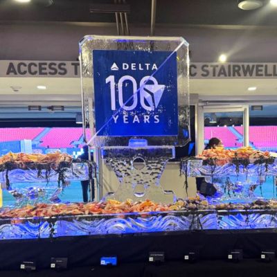 Ice Sculptures Georgia