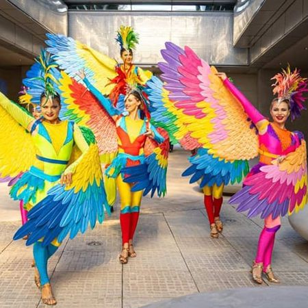 Roaming Colourful Bird Parade