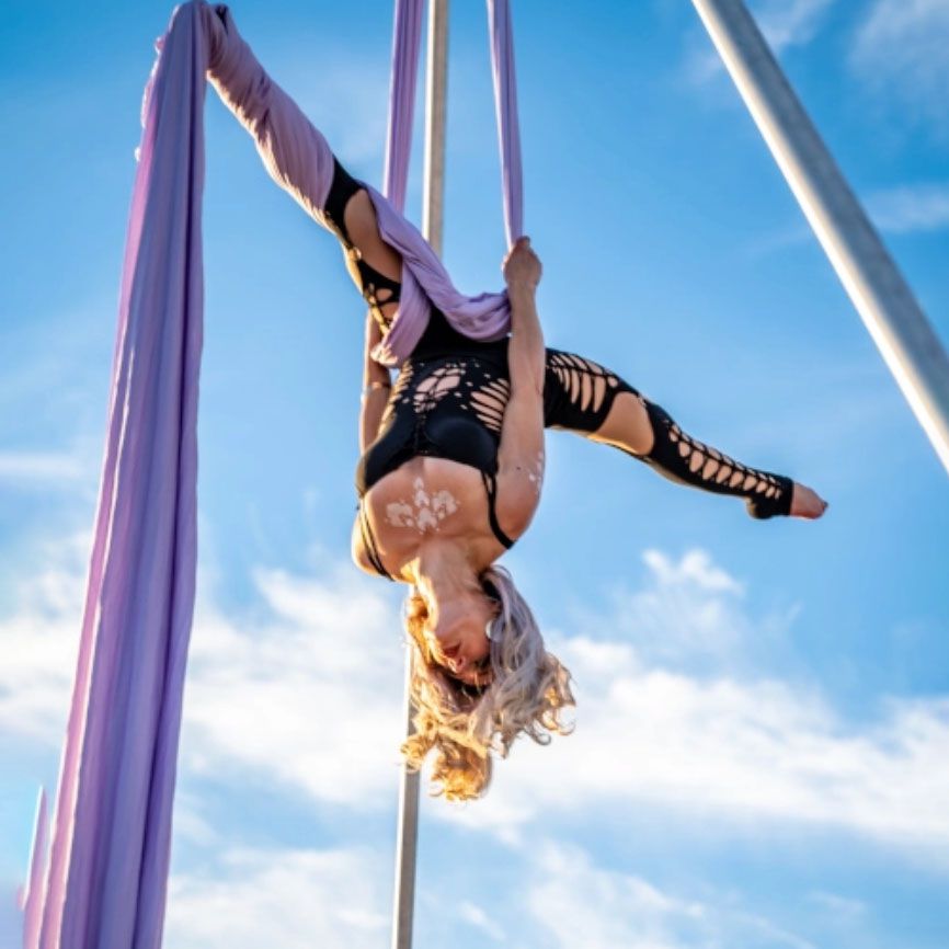 Book A Aerial Silks Artists California Scarlett Entertainment