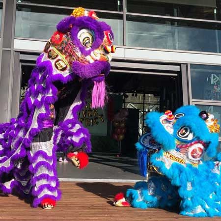 Danseurs de lion et de dragon chinois