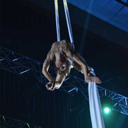 Aerial Silk Artist