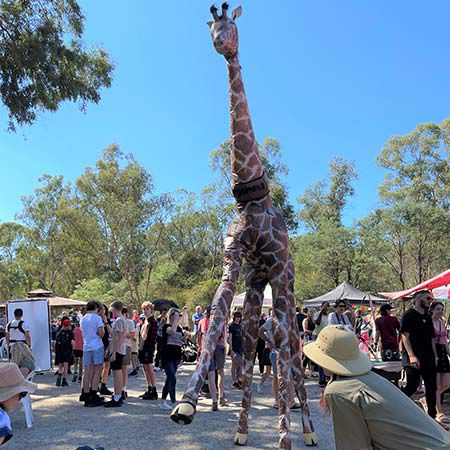 Lifesize Walkabout Giraffe