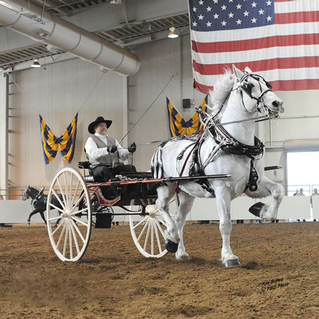 Voitures tirées par des chevaux