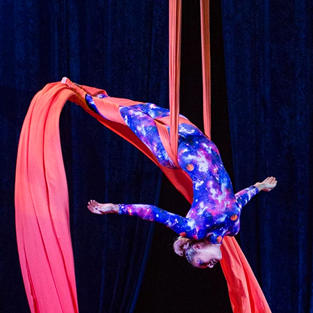 Aerial Silks Performer