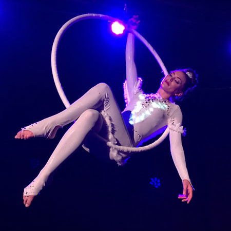 LED Zirkus Show