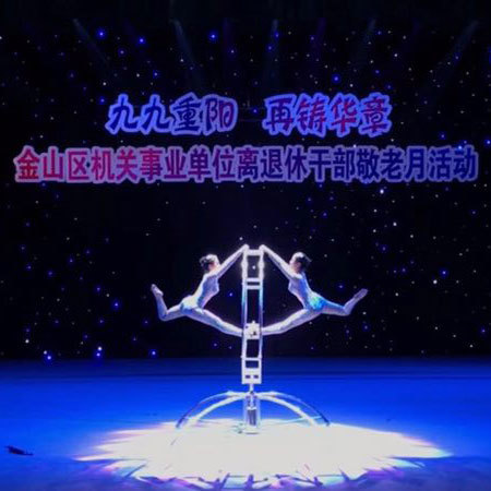 Shanghai Acrobatic Duo