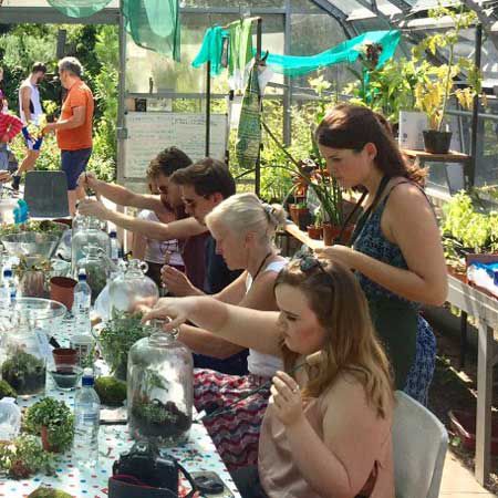 Atelier de terrarium en direct