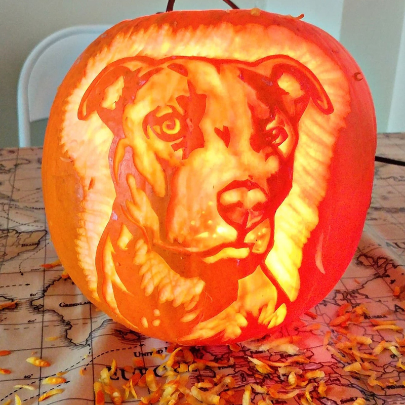 Hire Pumpkin Lantern Carver – For spooky bespoke designs | Scarlett ...