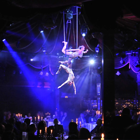 Aerial Trapeze Twins