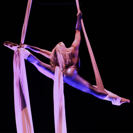 Aerial Silk Performer