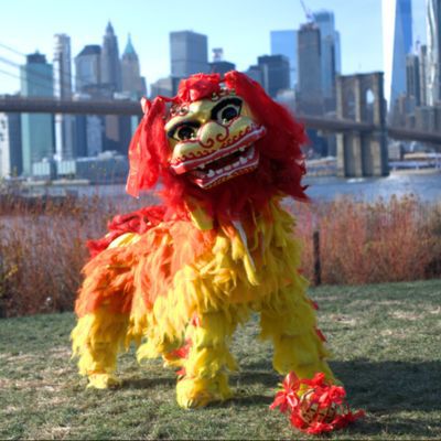Lion Dancers New York