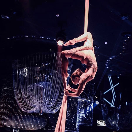 Paris Aerialist Performer