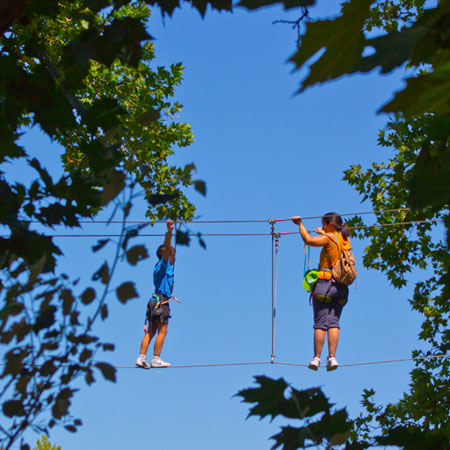 Aventure en forêt