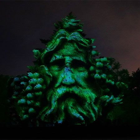 Projections de la Forêt Enchantée