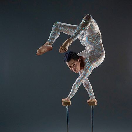 Hand Balancing Canes