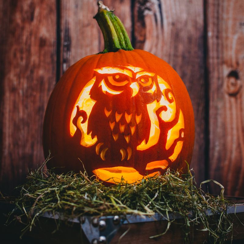 Virtual Pumpkin Carving Class | Halloween Themed Entertainment