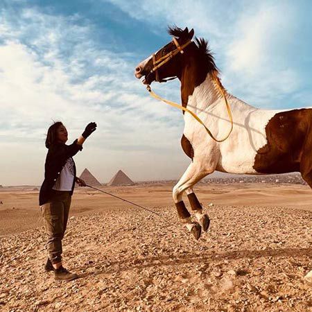 Horse & Camel Experiences Egypt