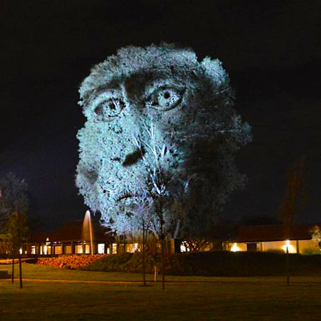 Installazione di mappatura video sugli alberi