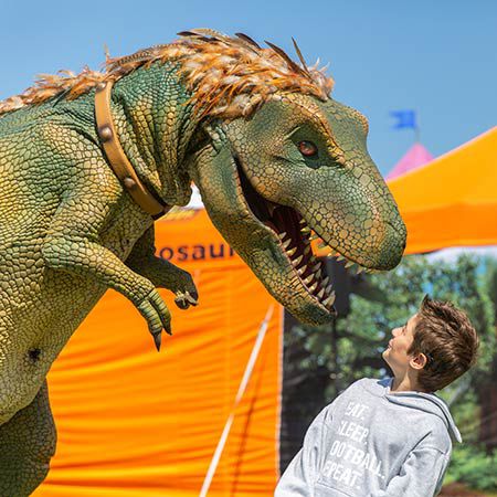 Roaming Dinosaurs UK