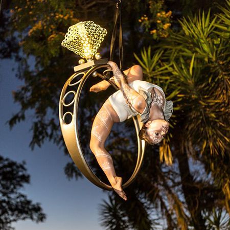 Themed Aerial Hoop & Lollipop