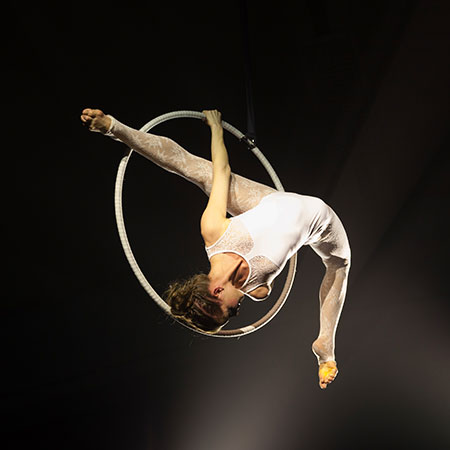 Swiss Aerial Artist