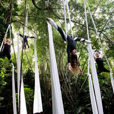 Aerial Dance Troupe