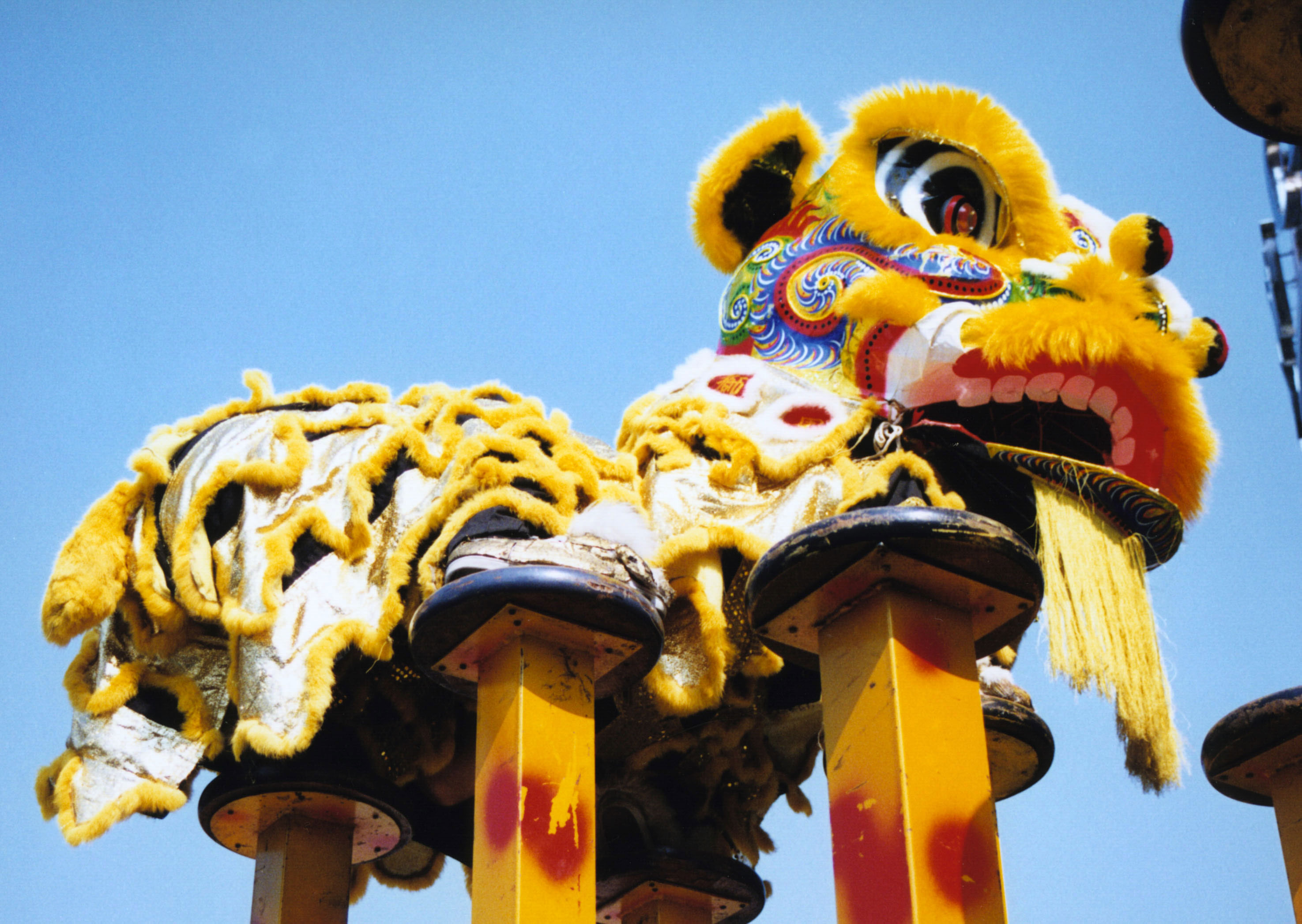 Traditional Chinese Entertainment | Chinese Lion Dance Zhengzhou ...