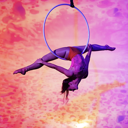 Acrobates Nashville