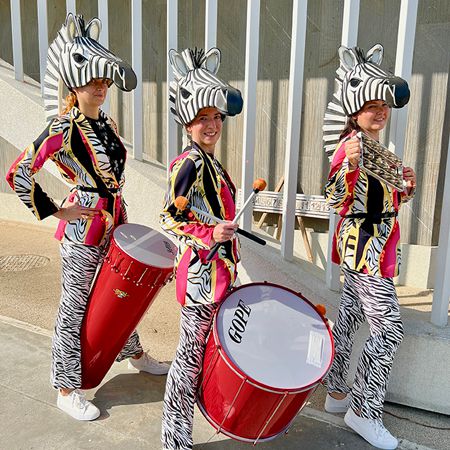 Tambores con temática de cebra