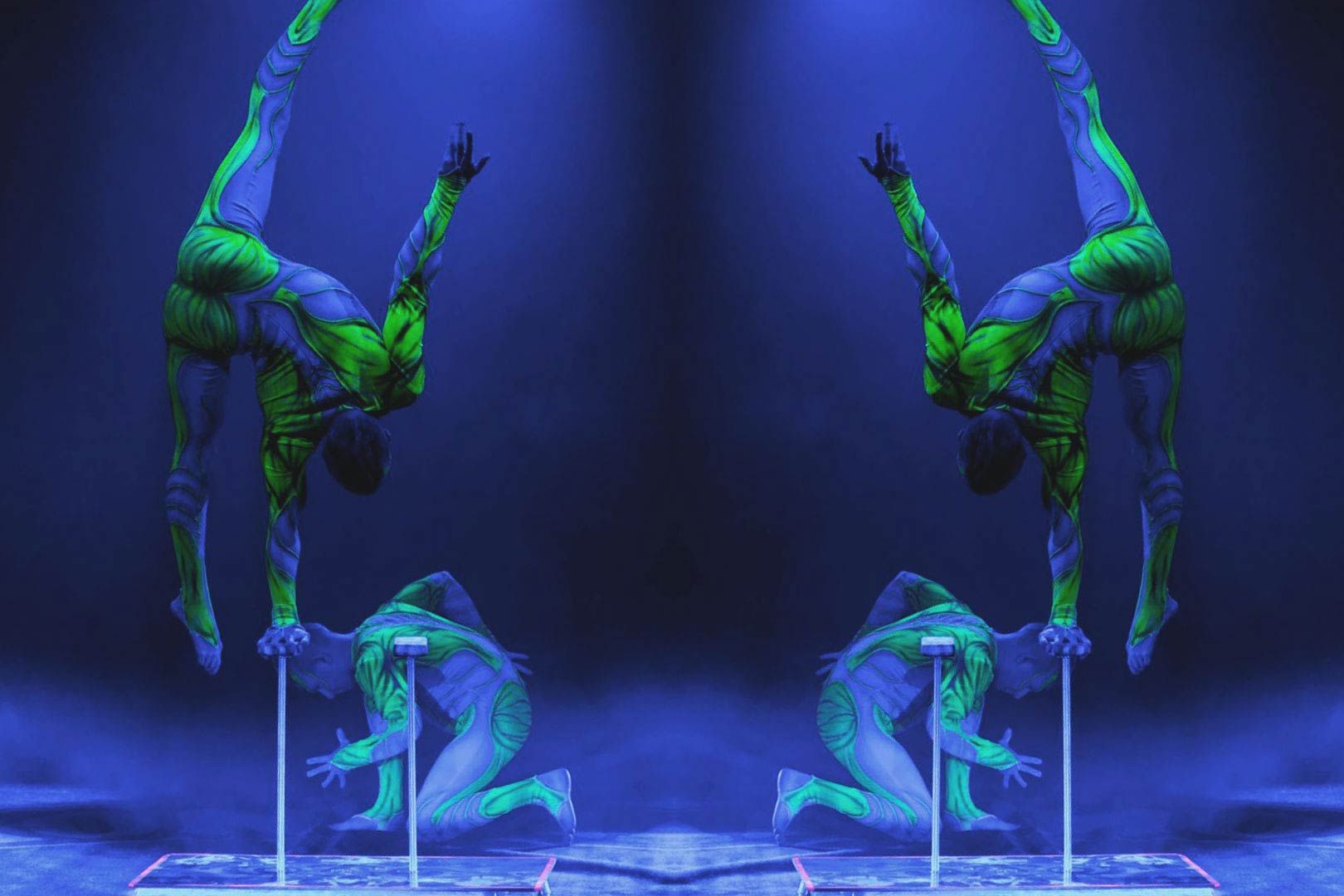 Circus Acts And Performers For Hire Aerialists And Acrobats Acrobatic