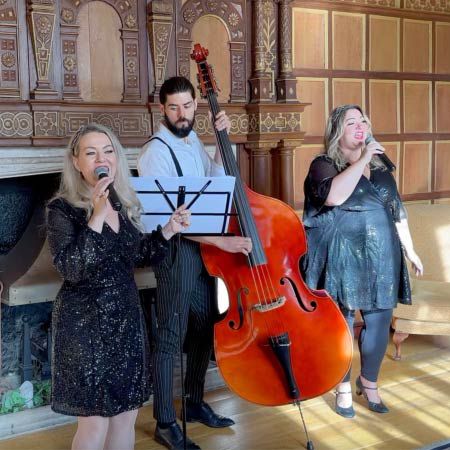 Vintage Style Covers Band