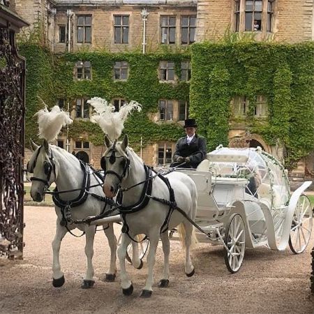 Horse and Carriage Rides 