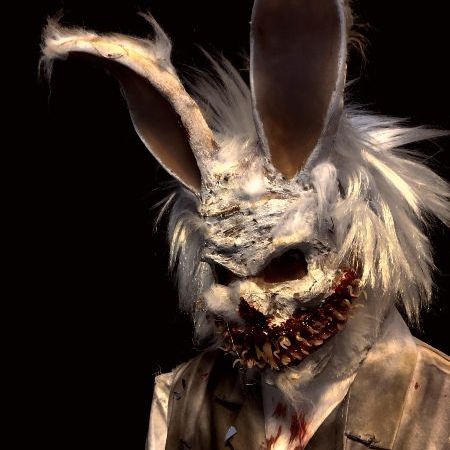 Rabid Rabbit 