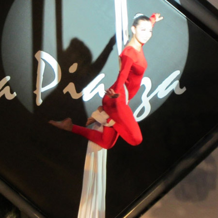 Aerial Silk Act Dubai