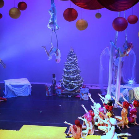Il Piccolo Circo di Natale