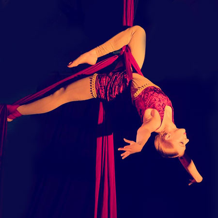 Bristol Aerialist