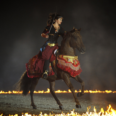 Equestrian Artist