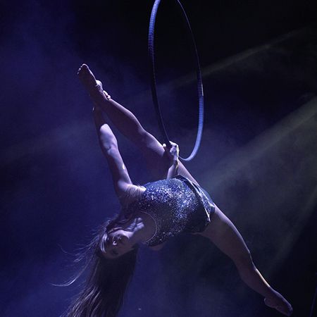 <span>Voltigeur polyvalent Italie</span>