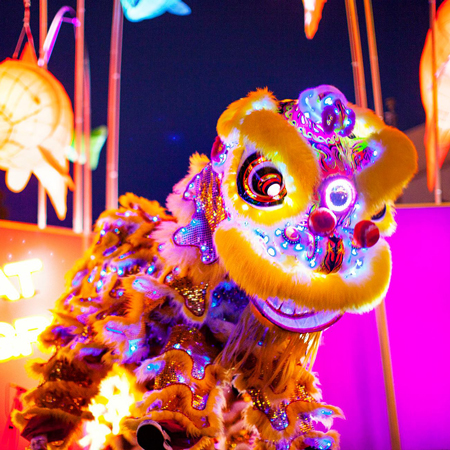 LED Dragon and Lion Dance USA