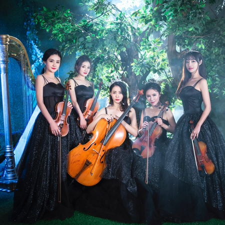 Luxury String Ensemble China